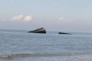 Bu, New Jersey Burnu 'ndaki Sunset sahilindeki batık geminin resmi. Okyanustan çıkan paslı metal gövde. Kahverengi gemi sahil kuşları için bir yaşam alanı değildir..
