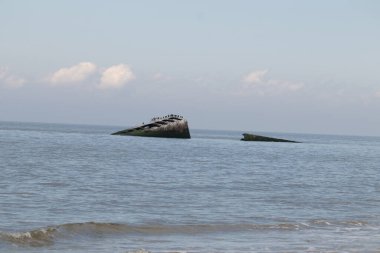 Bu, New Jersey Burnu 'ndaki Sunset sahilindeki batık geminin resmi. Okyanustan çıkan paslı metal gövde. Kahverengi gemi sahil kuşları için bir yaşam alanı değildir..