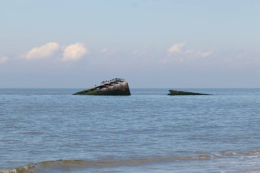 Bu, New Jersey Burnu 'ndaki Sunset sahilindeki batık geminin resmi. Okyanustan çıkan paslı metal gövde. Kahverengi gemi sahil kuşları için bir yaşam alanı değildir..