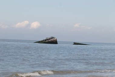 Bu, New Jersey Burnu 'ndaki Sunset sahilindeki batık geminin resmi. Okyanustan çıkan paslı metal gövde. Kahverengi gemi sahil kuşları için bir yaşam alanı değildir..