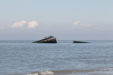 Bu, New Jersey Burnu 'ndaki Sunset sahilindeki batık geminin resmi. Okyanustan çıkan paslı metal gövde. Kahverengi gemi sahil kuşları için bir yaşam alanı değildir..