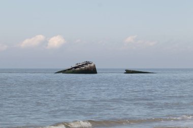Bu, New Jersey Burnu 'ndaki Sunset sahilindeki batık geminin resmi. Okyanustan çıkan paslı metal gövde. Kahverengi gemi sahil kuşları için bir yaşam alanı değildir..