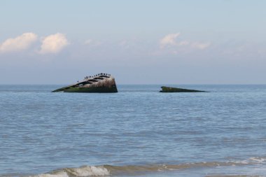 Bu, New Jersey Burnu 'ndaki Sunset sahilindeki batık geminin resmi. Okyanustan çıkan paslı metal gövde. Kahverengi gemi sahil kuşları için bir yaşam alanı değildir..