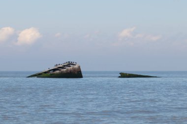 Bu, New Jersey Burnu 'ndaki Sunset sahilindeki batık geminin resmi. Okyanustan çıkan paslı metal gövde. Kahverengi gemi sahil kuşları için bir yaşam alanı değildir..