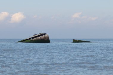 Bu, New Jersey Burnu 'ndaki Sunset sahilindeki batık geminin resmi. Okyanustan çıkan paslı metal gövde. Kahverengi gemi sahil kuşları için bir yaşam alanı değildir..