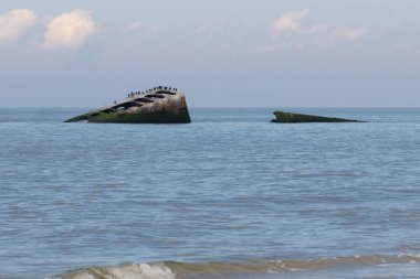 Bu, New Jersey Burnu 'ndaki Sunset sahilindeki batık geminin resmi. Okyanustan çıkan paslı metal gövde. Kahverengi gemi sahil kuşları için bir yaşam alanı değildir..