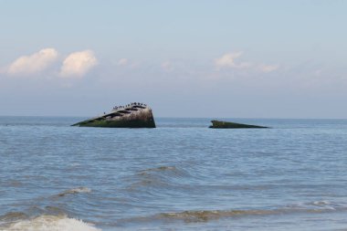 Bu, New Jersey Burnu 'ndaki Sunset sahilindeki batık geminin resmi. Okyanustan çıkan paslı metal gövde. Kahverengi tekne sahil kuşları için bir yaşam alanı değildir. Dalgaların her çarpışmada sahili öptüğü görülüyor..