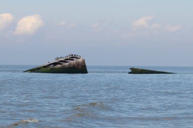Bu, New Jersey Burnu 'ndaki Sunset sahilindeki batık geminin resmi. Okyanustan çıkan paslı metal gövde. Kahverengi tekne sahil kuşları için bir yaşam alanı değildir. Dalgaların her çarpışmada sahili öptüğü görülüyor..