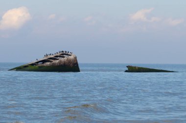Bu, New Jersey Burnu 'ndaki Sunset sahilindeki batık geminin resmi. Okyanustan çıkan paslı metal gövde. Kahverengi tekne sahil kuşları için bir yaşam alanı değildir. Dalgaların her çarpışmada sahili öptüğü görülüyor..