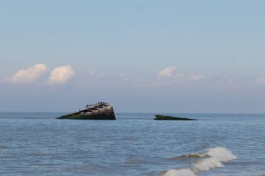 Bu, New Jersey Burnu 'ndaki Sunset sahilindeki batık geminin resmi. Okyanustan çıkan paslı metal gövde. Kahverengi tekne sahil kuşları için bir yaşam alanı değildir. Dalgaların her çarpışmada sahili öptüğü görülüyor..