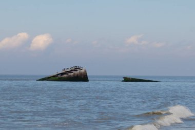 Bu, New Jersey Burnu 'ndaki Sunset sahilindeki batık geminin resmi. Okyanustan çıkan paslı metal gövde. Kahverengi tekne sahil kuşları için bir yaşam alanı değildir. Dalgaların her çarpışmada sahili öptüğü görülüyor..