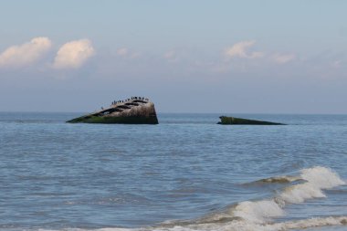 Bu, New Jersey Burnu 'ndaki Sunset sahilindeki batık geminin resmi. Okyanustan çıkan paslı metal gövde. Kahverengi tekne sahil kuşları için bir yaşam alanı değildir. Dalgaların her çarpışmada sahili öptüğü görülüyor..