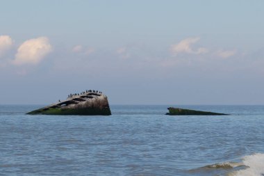 Bu, New Jersey Burnu 'ndaki Sunset sahilindeki batık geminin resmi. Okyanustan çıkan paslı metal gövde. Kahverengi gemi sahil kuşları için bir yaşam alanı değildir..
