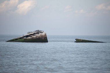Bu, New Jersey Burnu 'ndaki Sunset sahilindeki batık geminin resmi. Okyanustan çıkan paslı metal gövde. Kahverengi gemi sahil kuşları için bir yaşam alanı değildir..