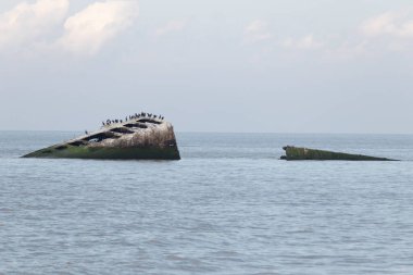 Bu, New Jersey Burnu 'ndaki Sunset sahilindeki batık geminin resmi. Okyanustan çıkan paslı metal gövde. Kahverengi gemi sahil kuşları için bir yaşam alanı değildir..