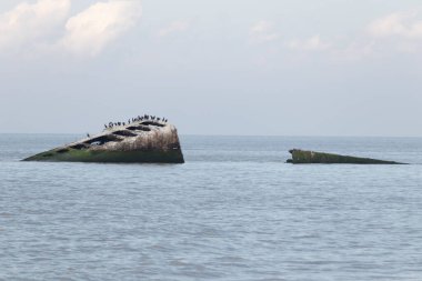 Bu, New Jersey Burnu 'ndaki Sunset sahilindeki batık geminin resmi. Okyanustan çıkan paslı metal gövde. Kahverengi gemi sahil kuşları için bir yaşam alanı değildir..