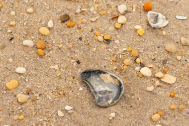 Bu güzel bir plaj görüntüsü. Kum taneleri arasında bir istiridye kabuğu görülebilir. Kırık deniz kabukları pürüzsüz çakıl taşlarının arasına dağılmış. Bazı taşlar kristal berraklığında elmas olarak bilinir..