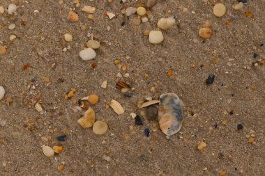 Bu güzel bir plaj görüntüsü. Kum taneleri arasında bir istiridye kabuğu görülebilir. Kırık deniz kabukları pürüzsüz çakıl taşlarının arasına dağılmış. Bazı taşlar kristal berraklığında elmas olarak bilinir..