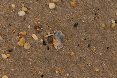 Bu güzel bir plaj görüntüsü. Kum taneleri arasında bir istiridye kabuğu görülebilir. Kırık deniz kabukları pürüzsüz çakıl taşlarının arasına dağılmış. Bazı taşlar kristal berraklığında elmas olarak bilinir..