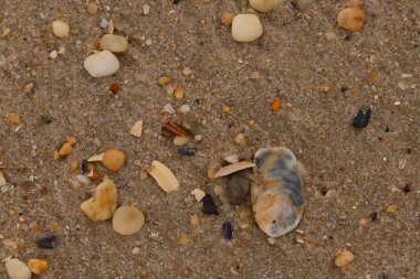 Bu güzel bir plaj görüntüsü. Kum taneleri arasında bir istiridye kabuğu görülebilir. Kırık deniz kabukları pürüzsüz çakıl taşlarının arasına dağılmış. Bazı taşlar kristal berraklığında elmas olarak bilinir..