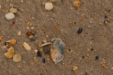 Bu güzel bir plaj görüntüsü. Kum taneleri arasında bir istiridye kabuğu görülebilir. Kırık deniz kabukları pürüzsüz çakıl taşlarının arasına dağılmış. Bazı taşlar kristal berraklığında elmas olarak bilinir..