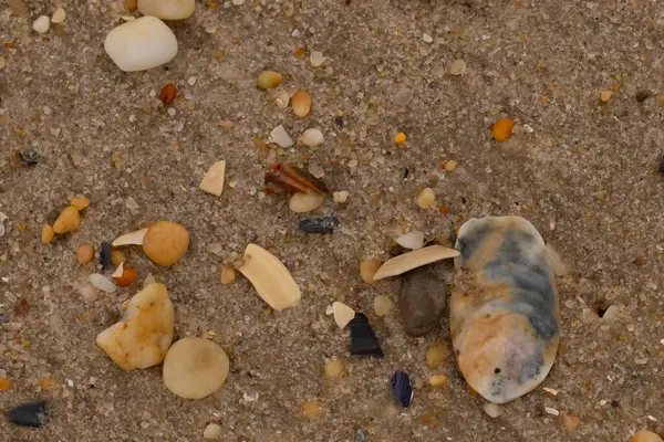 Bu güzel bir plaj görüntüsü. Kum taneleri arasında bir istiridye kabuğu görülebilir. Kırık deniz kabukları pürüzsüz çakıl taşlarının arasına dağılmış. Bazı taşlar kristal berraklığında elmas olarak bilinir..