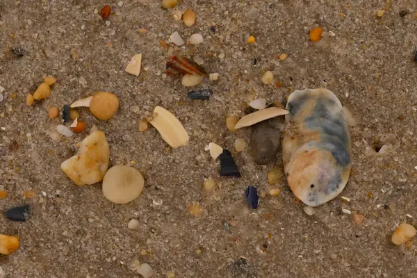 Bu güzel bir plaj görüntüsü. Kum taneleri arasında bir istiridye kabuğu görülebilir. Kırık deniz kabukları pürüzsüz çakıl taşlarının arasına dağılmış. Bazı taşlar kristal berraklığında elmas olarak bilinir..