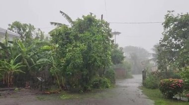 Şiddetli yağmur ve fırtınalar Aceh Besar 02 'deki bir köyde guava, muz ve mango ağaçlarını vurur.