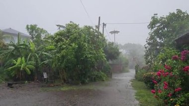 Şiddetli yağmur ve fırtınalar Aceh Besar 01 'deki bir köyde guava, muz ve mango ağaçlarını vurur.