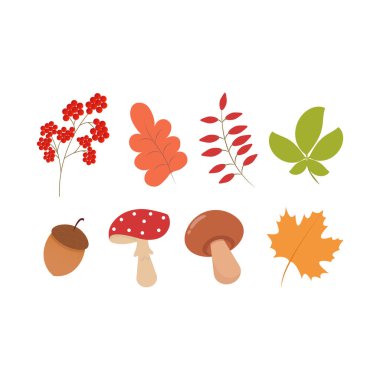 Sonbahar yaprakları, meşe palamudu, rowan ve mantar.