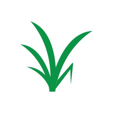 çimen simgesi vektör illüstrasyon tasarımı