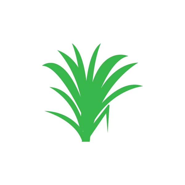 Ikona Wektor Trawy Ilustracja Symbol Projekt — Wektor stockowy