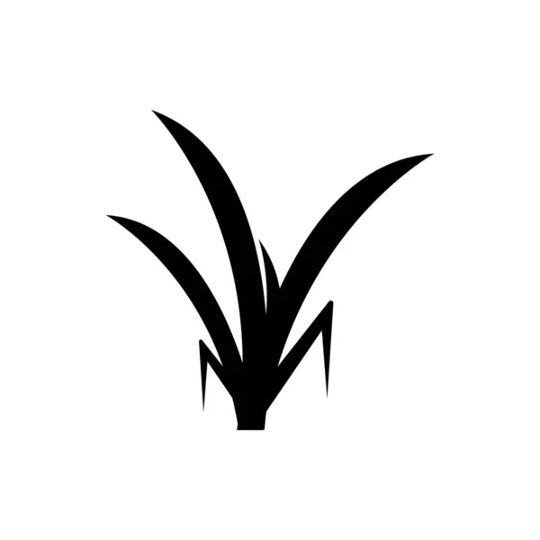 Ikon Vektor Illusztráció Szimbólum Tervezés — Stock Vector