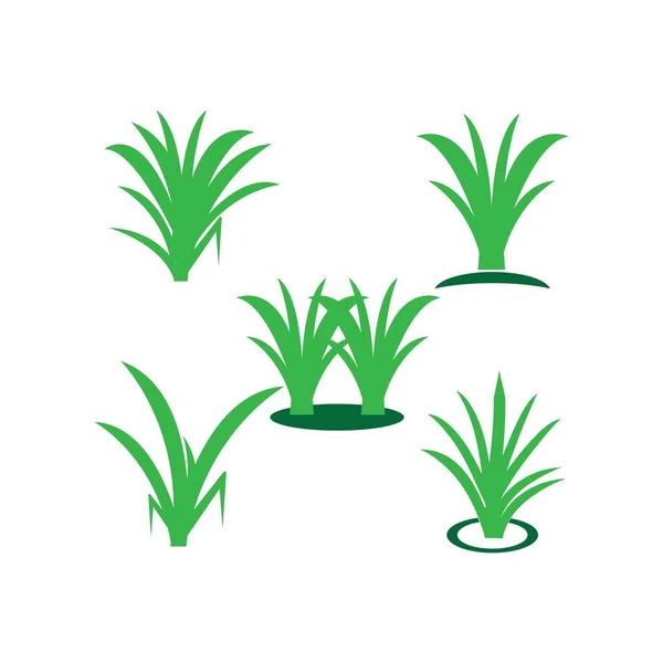 Gras Symbol Vektor Illustration Symbol Design — Stockvektor