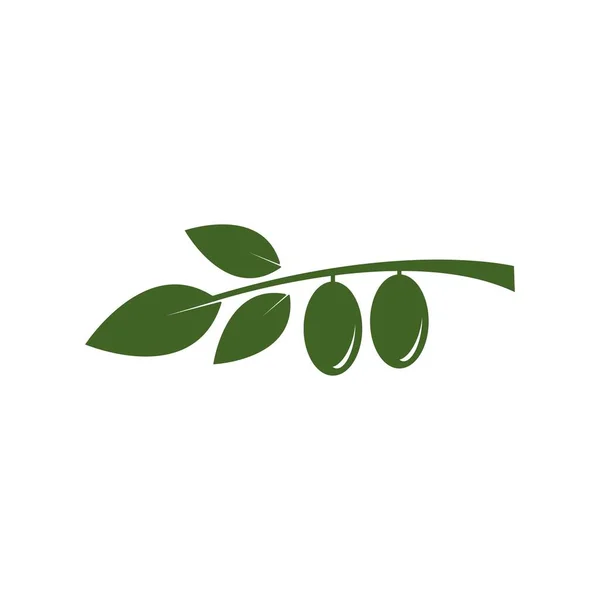 Olíva Ikon Vektor Illusztráció Szimbólum Tervezés — Stock Vector