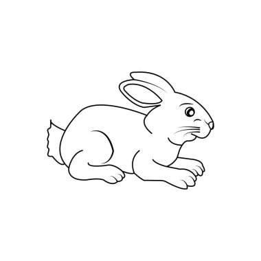 rabbit icon vector illustration symbol design