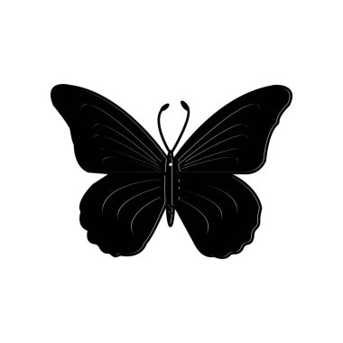butterfly icon vector illustration symbol design