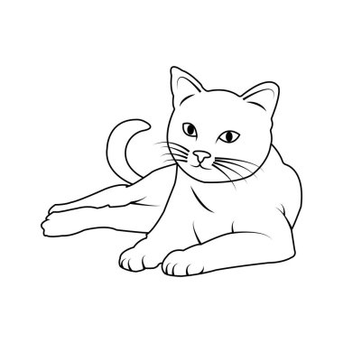 cat icon vector illustration simple design