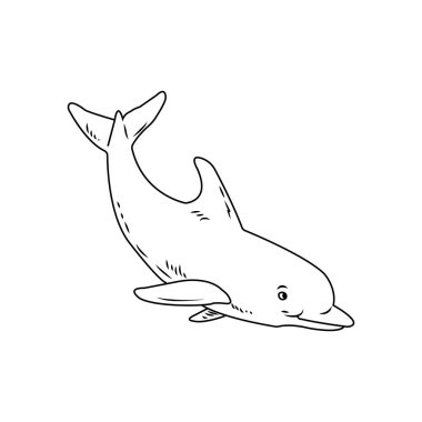 dolphin icon vector illustration simple design