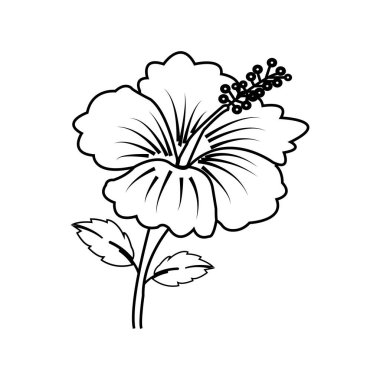 icons of various kinds of flowers, sunflowers, tulips and others