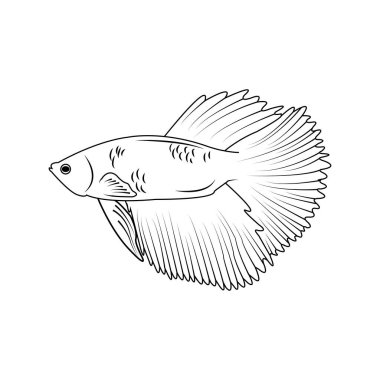 betta fish icon vector illustration symbol design
