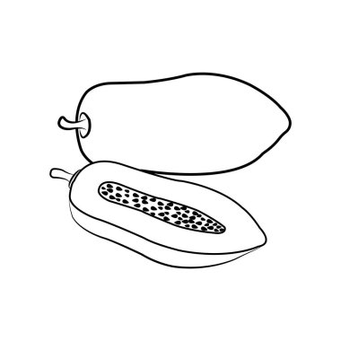 papaya icon vector illustration symbol design