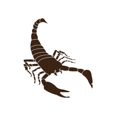scorpion icon vector illustration logo design