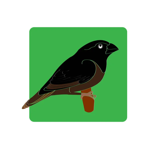 Sparrow Icon Vector Illustration Symbol Design — Stockvector