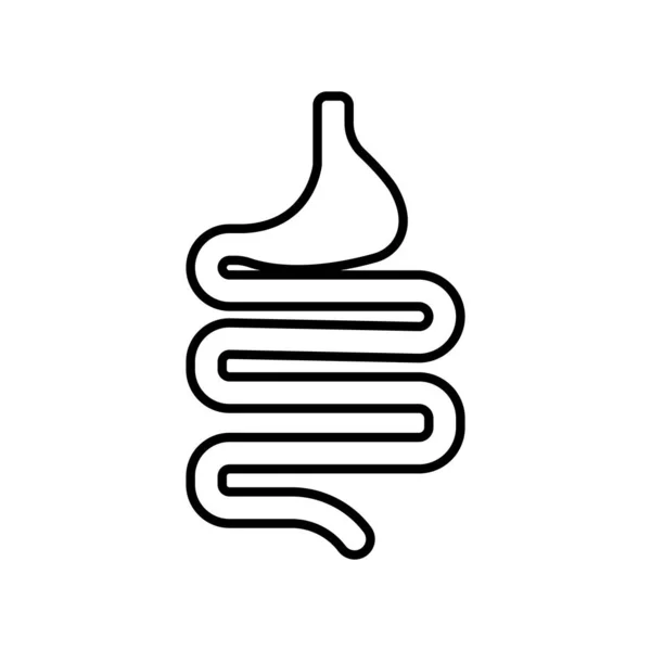 Darmen Vector Illustratie Symbool Ontwerp — Stockvector
