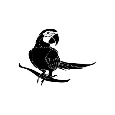 papağan simgesi vektör illüstrasyon tasarımı
