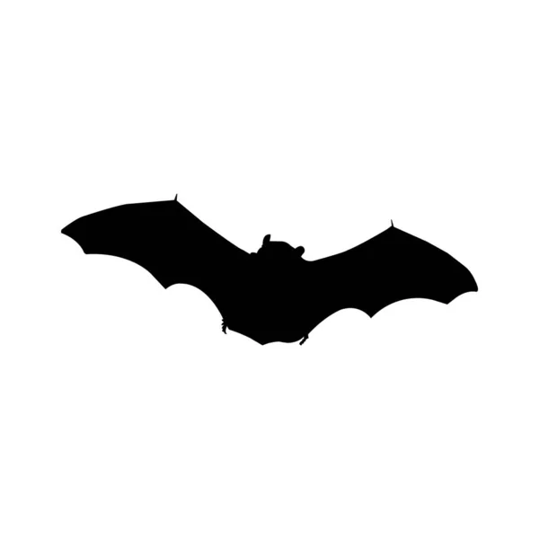 Desenho Ícone Morcego Voador Modelo Vetor Isolado Ilustração — Vetor de Stock