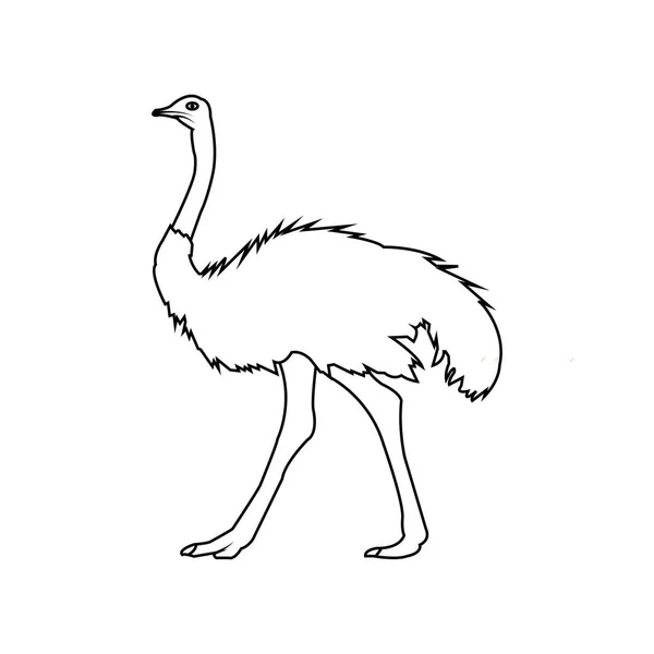 Struisvogel Pictogram Vector Illustratie Eenvoudig Ontwerp — Stockvector