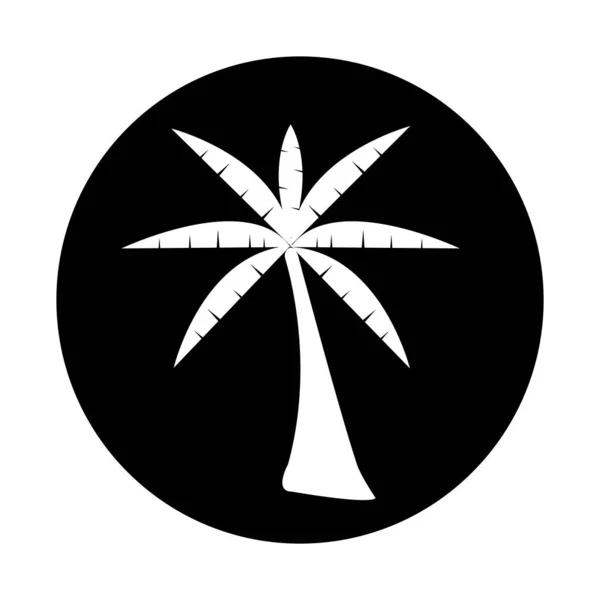 Palmier Copac Vara Logo Șablon Vector Ilustrare — Vector de stoc