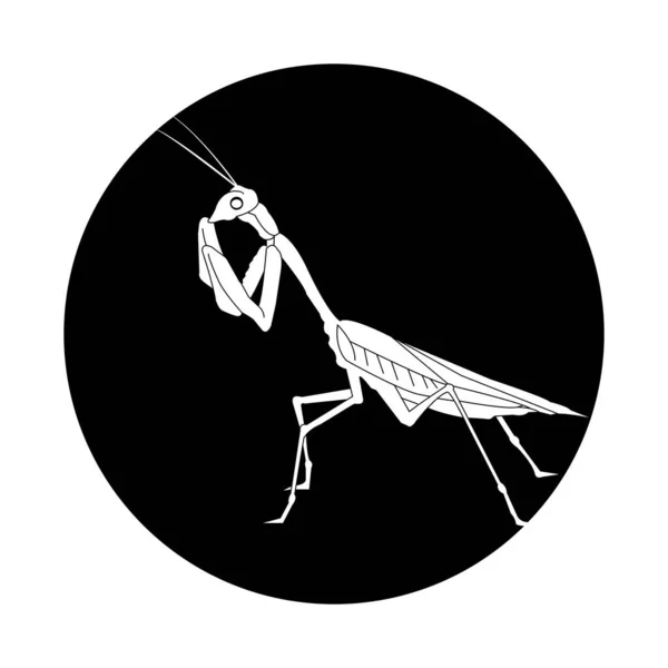 Grasshopper Icona Vettoriale Illustrazione Design Semplice — Vettoriale Stock